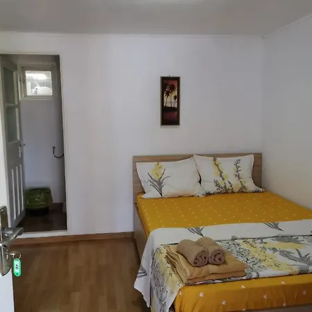 Casa Ioana Costinesti