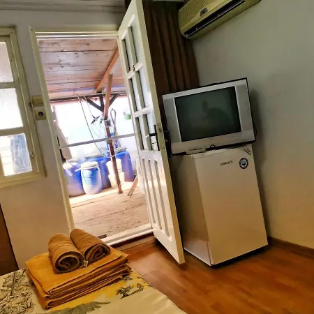Guest house Casa Ioana