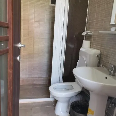 Casa Ioana Guest house
