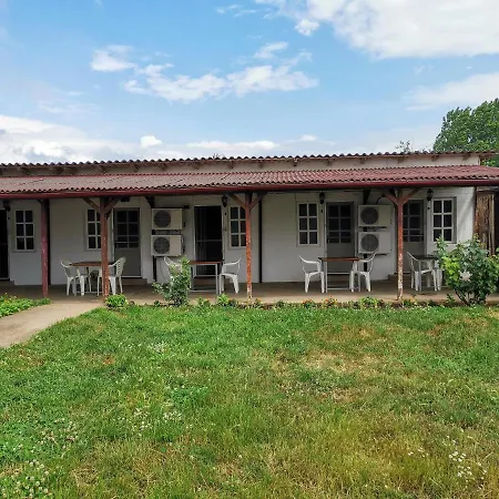 Casa Ioana Guest house