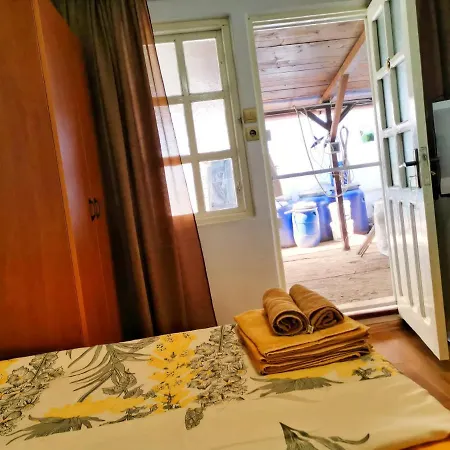 Casa Ioana *
